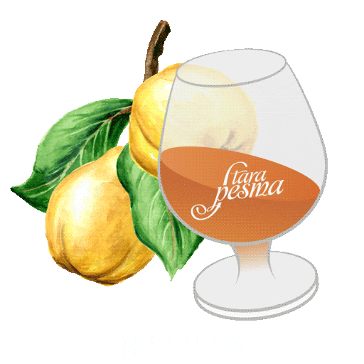 BALQAN.com Sticker
