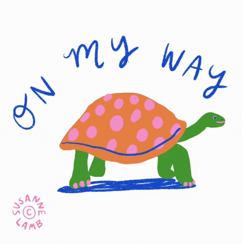 Tortoise-runs GIFs - Get the best GIF on GIPHY