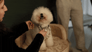 Zombies GIF by Hollywood Records