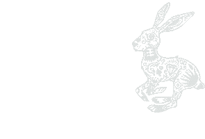 Lucky Rabbit Sticker by Suerte Tequila