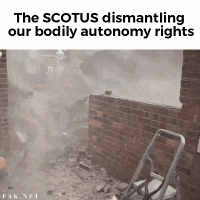 Meme gif. Man pokes the roof of a brick structure with a long stick, sending the roof crumbling down and destroying the brick wall holding it up. Text, "The S-C-O-T-U-S dismantling our bodily autonomy rights."