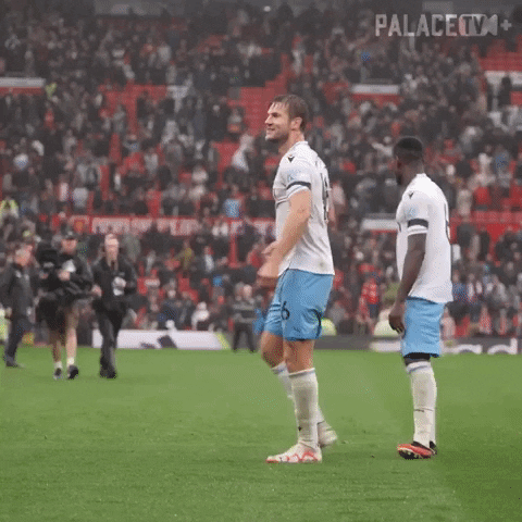 Come On Win GIF by Crystal Palace Football Club