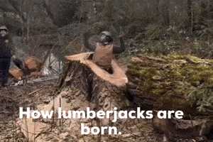 Lumberjack Im Free GIF