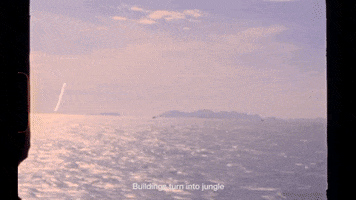 GIF by NOWNESS