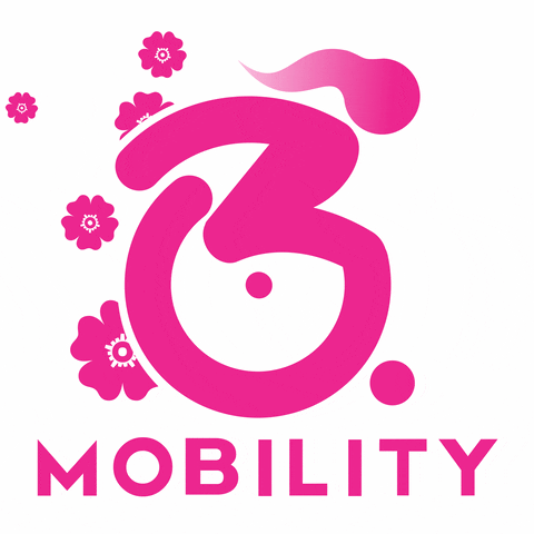 mobilitybrasil wheelchair mobility pcd cadeira de rodas GIF