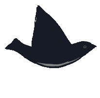 Animated Sticker