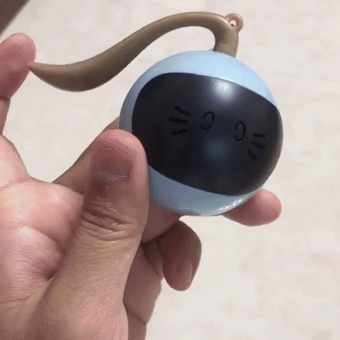Animated GIF