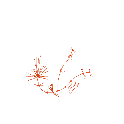 Animated Sticker