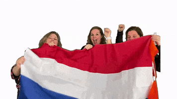 Team Flag GIF by MechelMakelaardij