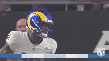 Los Angeles Rams Football GIF by NFL