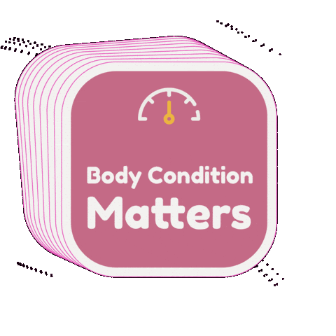 Cat Dog Sticker by VetPartners