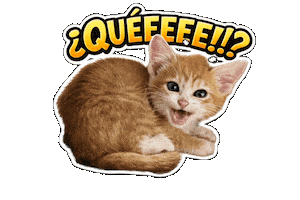 Queeeee Sticker