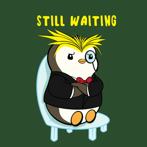 Where Are You Love GIF by Pudgy Penguins