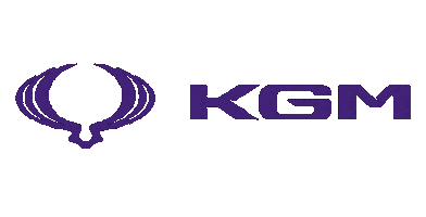 Car Sticker by THEOCAKIS S.A.