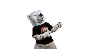 Bear Bet Sticker by Coolbet Chile