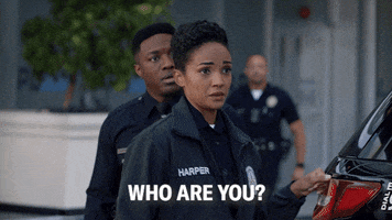 Who Are You GIF by ABC Network