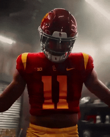 Fight On GIF