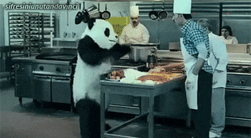 pizza panda GIF