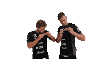 TV Birsfelden Sticker