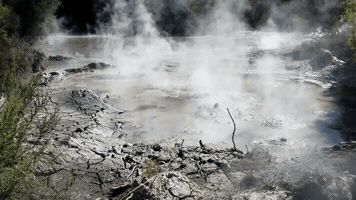 New Zealand GIF