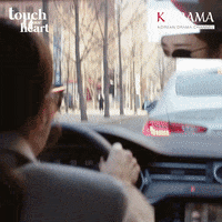 Car Crash Accident GIF by Eccho Rights