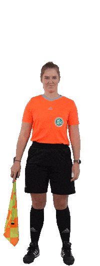 Football Sticker