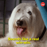 Dogs International Dog Day GIF by BuzzFeed