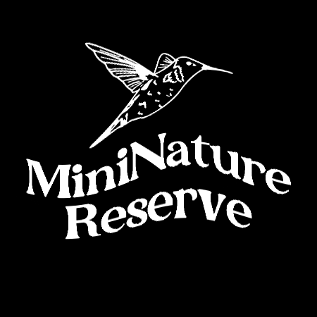 California Hummingbird GIF by MiniNature Reserve