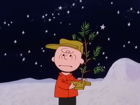 Image result for charlie brown gif"