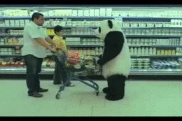 panda fail GIF