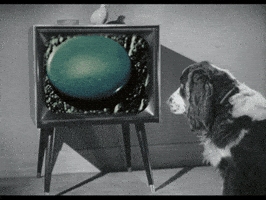 Marc Rodriguez Art GIF