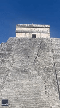 Dogs Climb Up Steps of El Castillo Mayan Pyramid