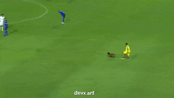 Futebol Gandula GIF by DevX Art