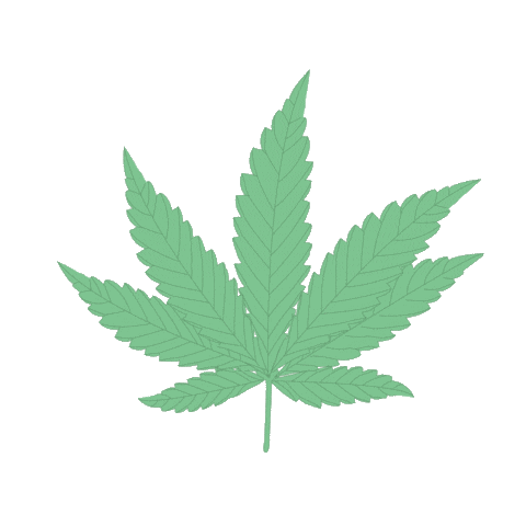 Hey Bud Skincare Sticker