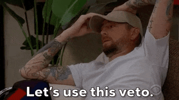 Veto GIF by Big Brother