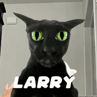 Greatozzz GIF