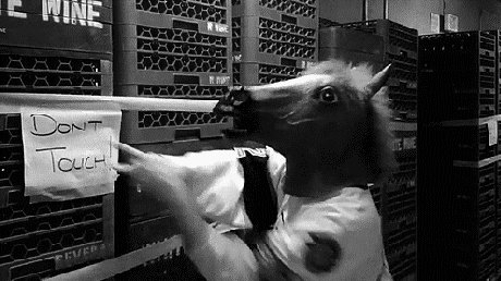 horse GIF