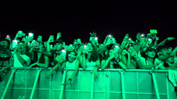 Music Festival GIF by Contrast Magazine