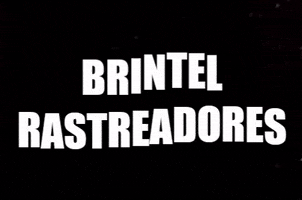 Brintel GIF