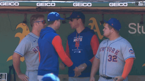 Nym-mets-lgm GIFs - Get the best GIF on GIPHY