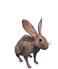 rabbit STICKER
