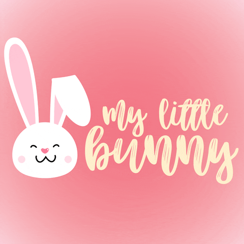 Bunny GIF by Amy Myers MD