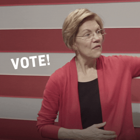 Voting 2020 Election GIF by Elizabeth Warren