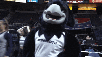 Shadow GIF by Monmouth Hawks