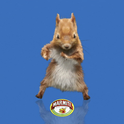 Squirrel GIF by Marmite