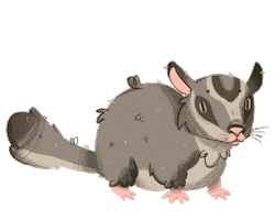 Sugar Glider Sticker by NEKTON GmbH