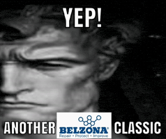 Belzona GIF