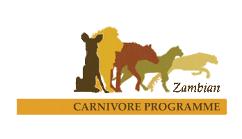 Zambian Carnivore Programme Sticker