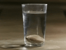 Spunk GIF