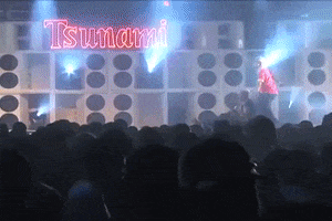 Quicando GIF